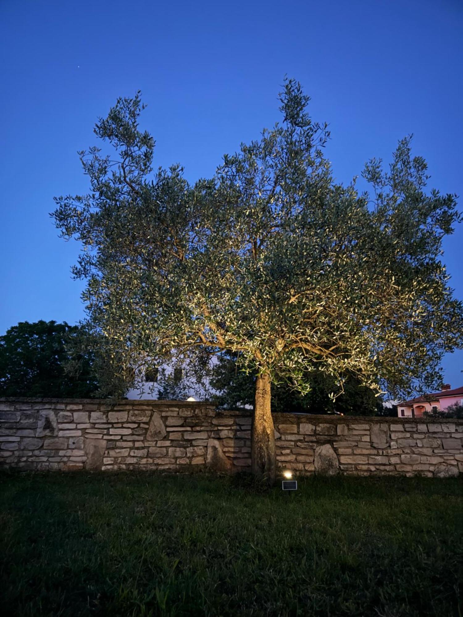 Apartman Ostrea *** Bale Esterno foto